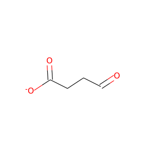succinyl semialdehyde